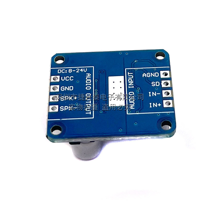 10W/20W/30W yüksək güclü gücləndirici modul D Sinfi rəqəmsal gücləndirici lövhə 12V/24V enerji təchizatı DY-AP3001 - 2