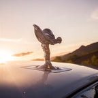 Alman Avtomobil Başlığı Avtomobil Yastığı Oturacaq Yaddaş Köpüyü Dəstəyi Boyun və Bel Dəstəyi Bütün İl Boyu Neytral Avtomobil Bel Yastığı