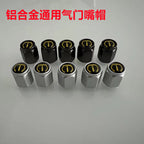 Polad Mate Təkər Klapanı Özü Sensoru Xüsusi Nozzle Qapağı Neytral Təkər Təzyiqinə Nəzarət Tozdan Mühafizə Qapağı Valf Şapkası