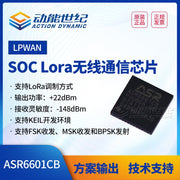 Ra-08 yerli ASR6601 LoRaWAN modulu 48MHz ARM Cortex M4 mikro nəzarətçi moduluna malikdir
