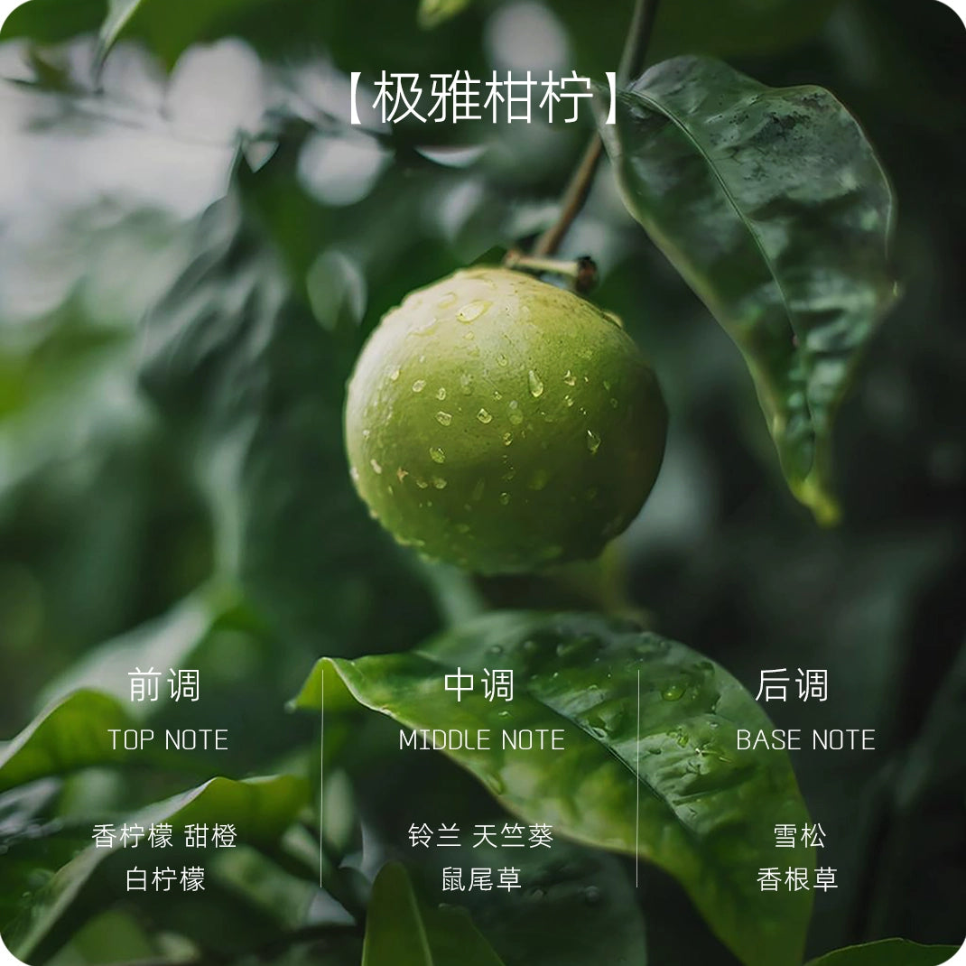 Xingrui L Ətir Doldurma Kartuşu Ji Ji 001 009 Ling 06 09 900 Galaxy Kricle Starlight 8 Jue Yue üçün uyğundur