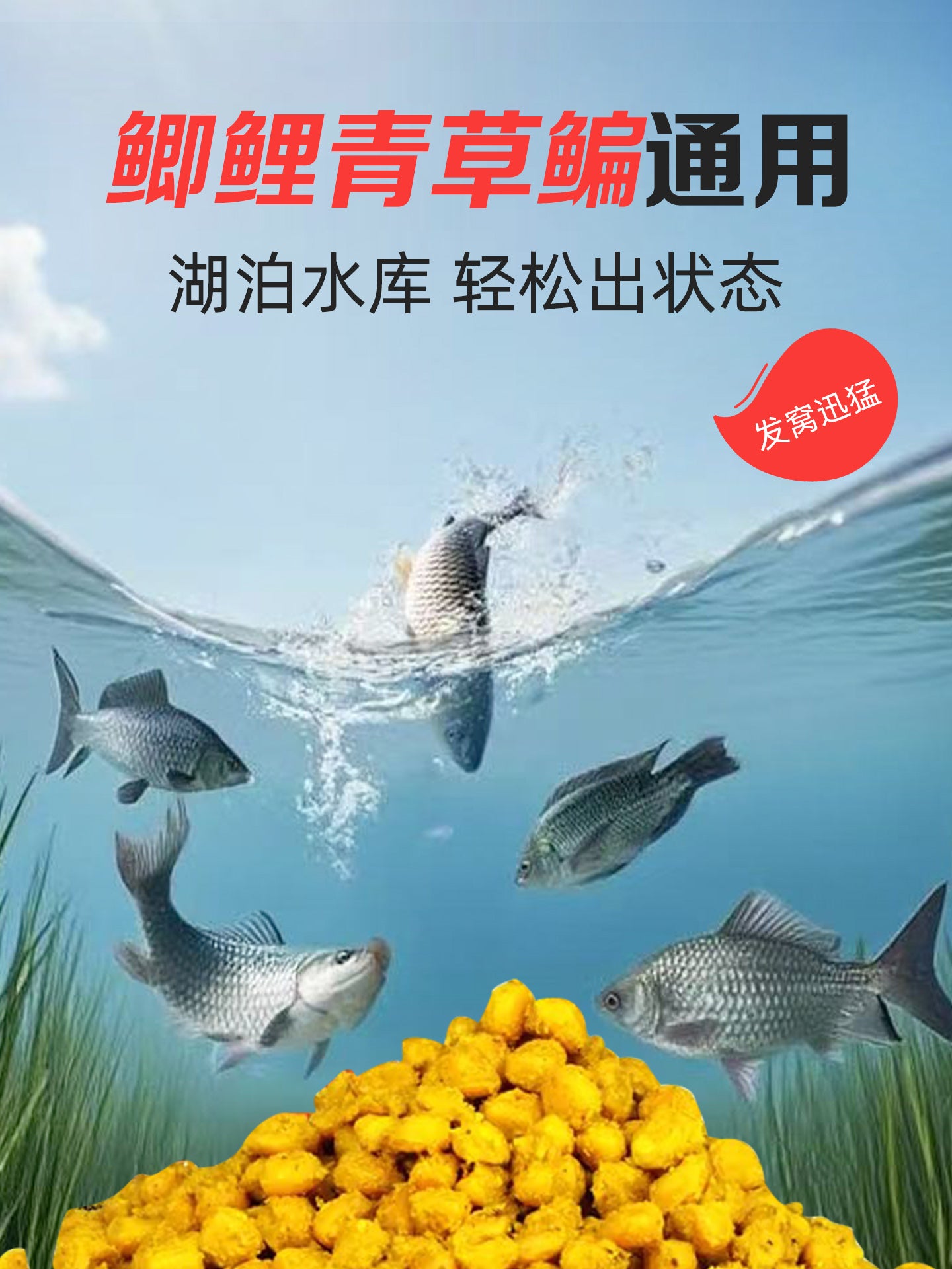 Qərbi Feng Lao Tan dənli bitkiləri, buğda, şirin kartof, buğda taxılları, qarğıdalı yuvası materialları, balıq yemi, su anbarında balıq ovu vəhşi balıq ovu yemi