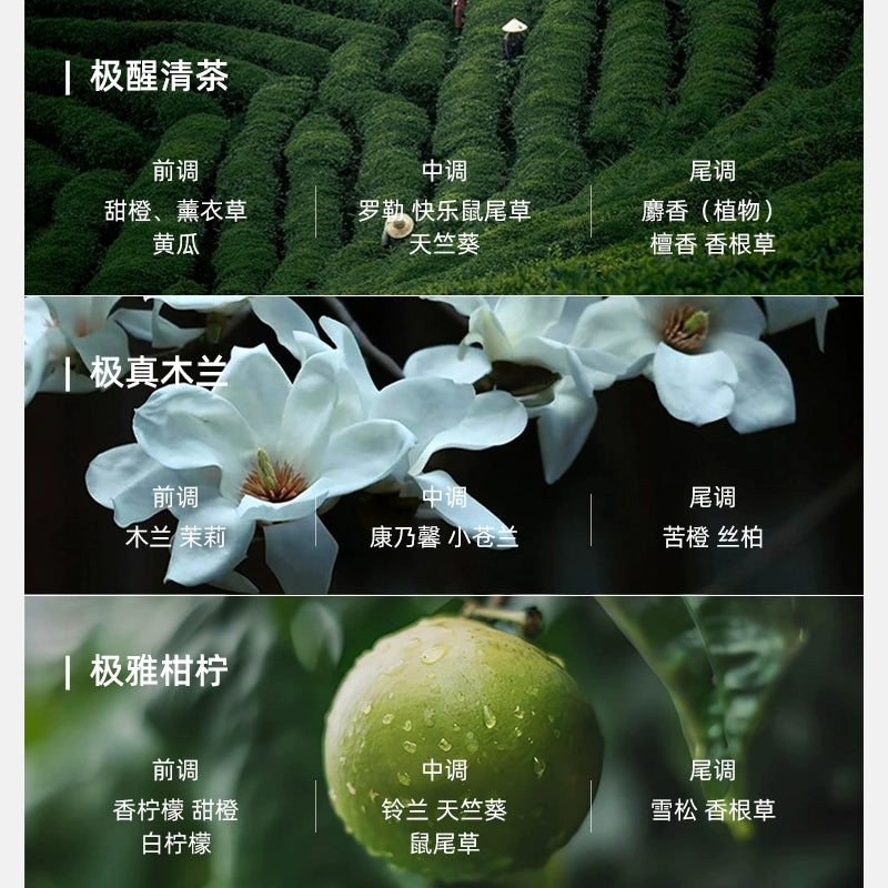 Xingrui L Ətir Doldurma Kartuşu Ji Ji 001 009 Ling 06 09 900 Galaxy Kricle Starlight 8 Jue Yue üçün uyğundur