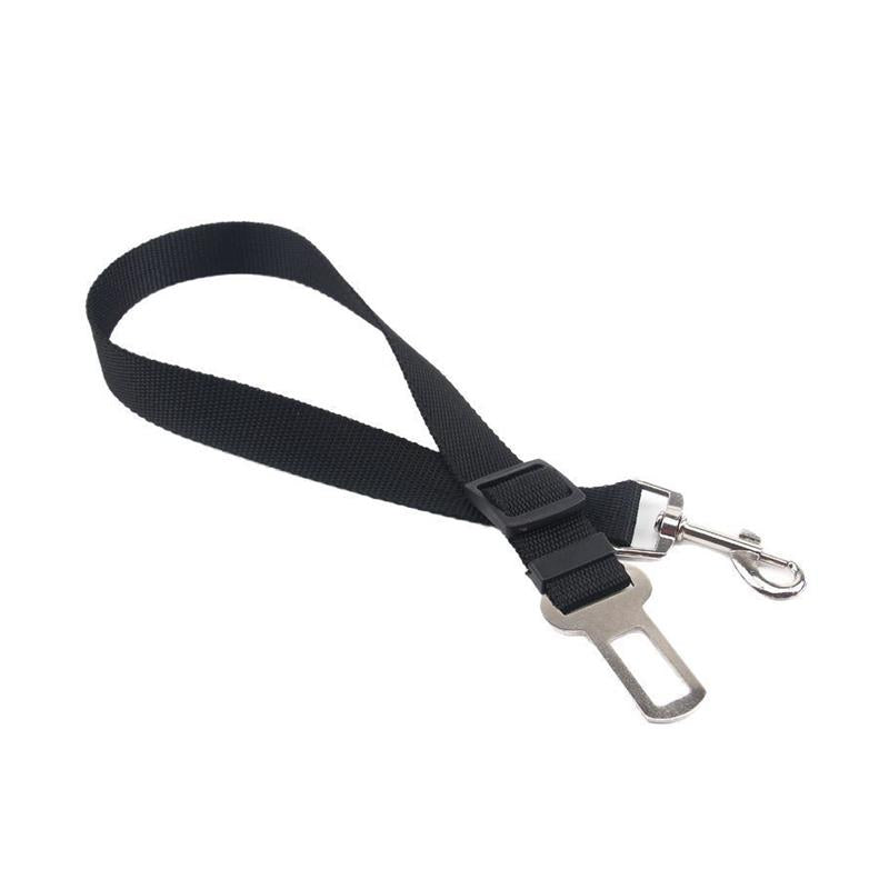 Ev heyvanı, it, pişik, avtomobil təhlükəsizlik kəməri, aksesuarlar, mallar, heyvanlar