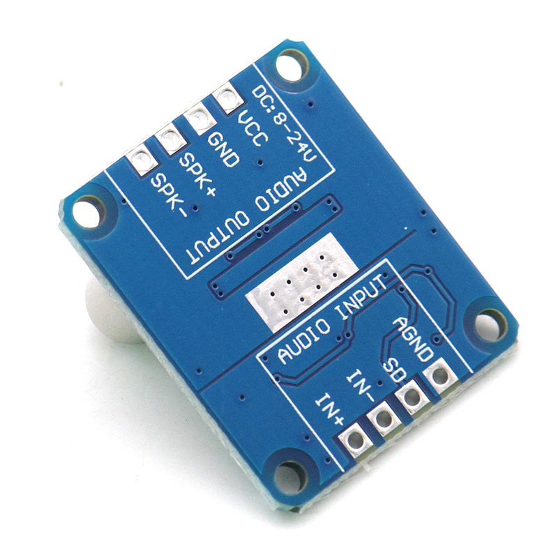 10W/20W/30W yüksək güclü gücləndirici modul D Sinfi rəqəmsal gücləndirici lövhə 12V/24V enerji təchizatı DY-AP3001