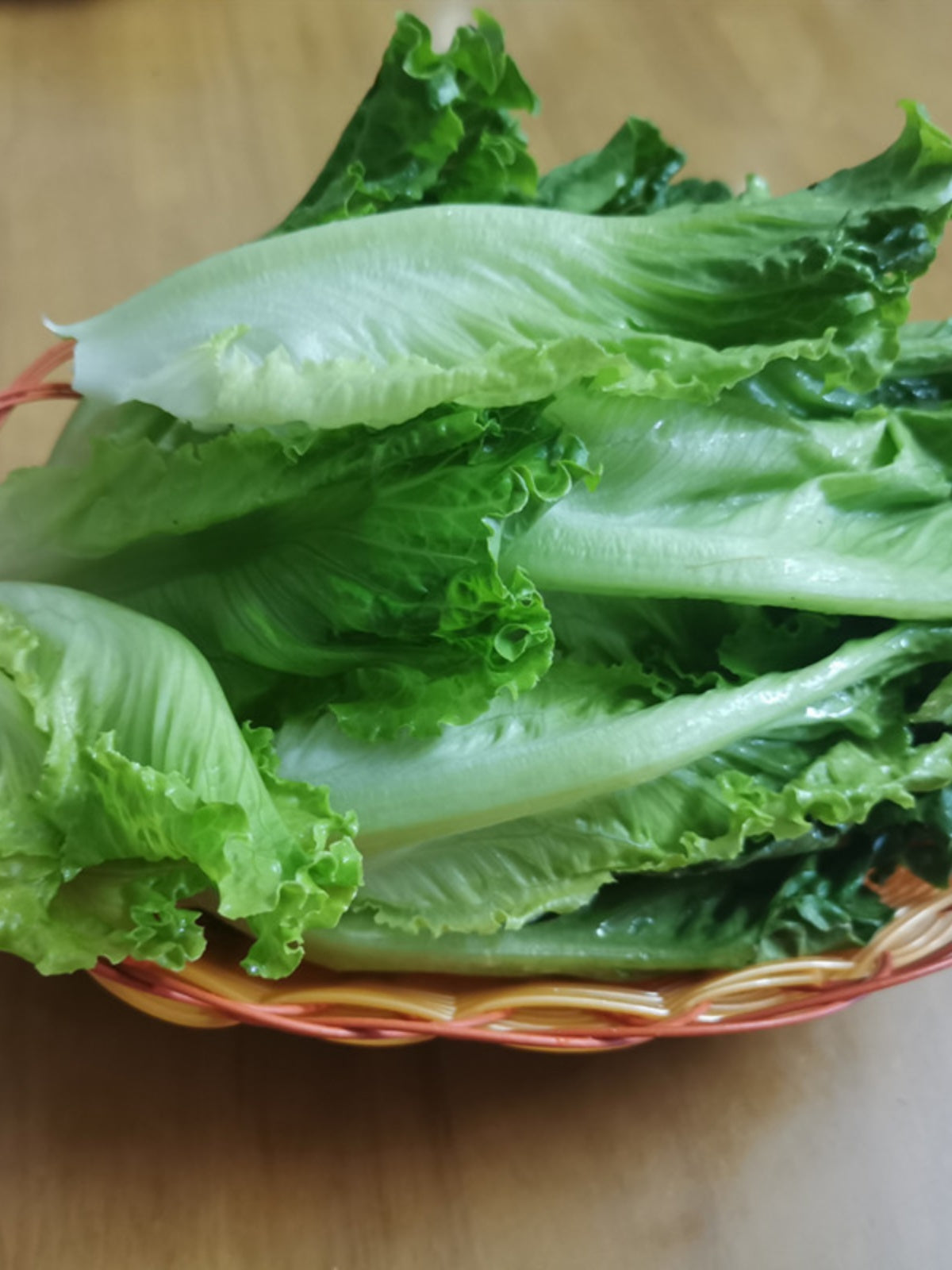 Qəlyanaltı səbəti, popkorn, kartof səbəti, bar, fıstıq və qovun toxumu qabı, ətli sendviç, buxarda hazırlanmış pancake səbəti, meyvə hövzəsi, qaynadılmış tərəvəz səbəti