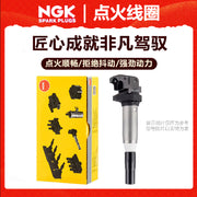 NGK alovlanma bobini yüksək gərginlikli paketi Reynolds Latitude Talisman Nissan 350Z Quest Pathfinder üçün uyğundur