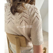 3353 Lalə Köynək Qadın Sviteri Çin Örgü Nümunəsi və Mətn Təlimatları