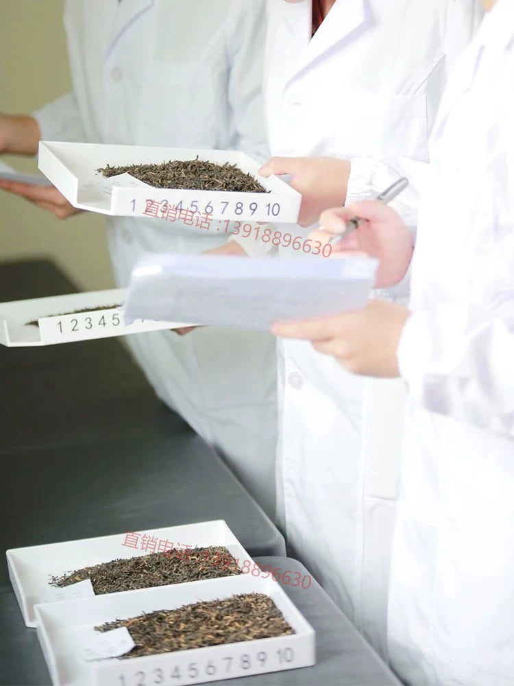 Tea SC baxış çay dəsti çay sənayesi peşə bacarıqları icmalı çay fincanı baxış nimçəsi əvəzedici çay yaşıl çay qara çay qabları peşəkar
