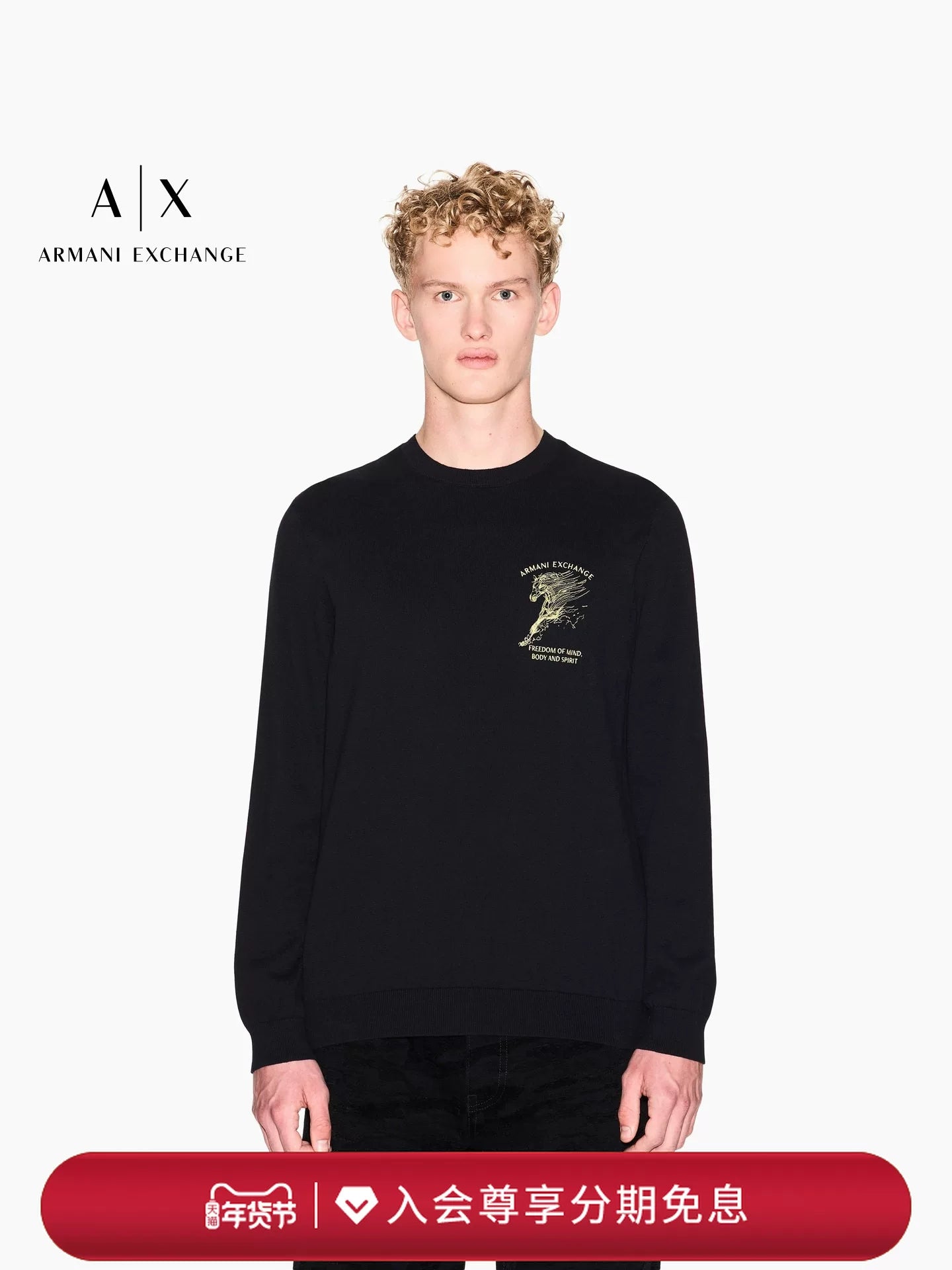 [New Year's gift] ARMANI EXCHANGE / Armani Spring New Year Limited Edition Pure Cotton Knitted Sweater for Men