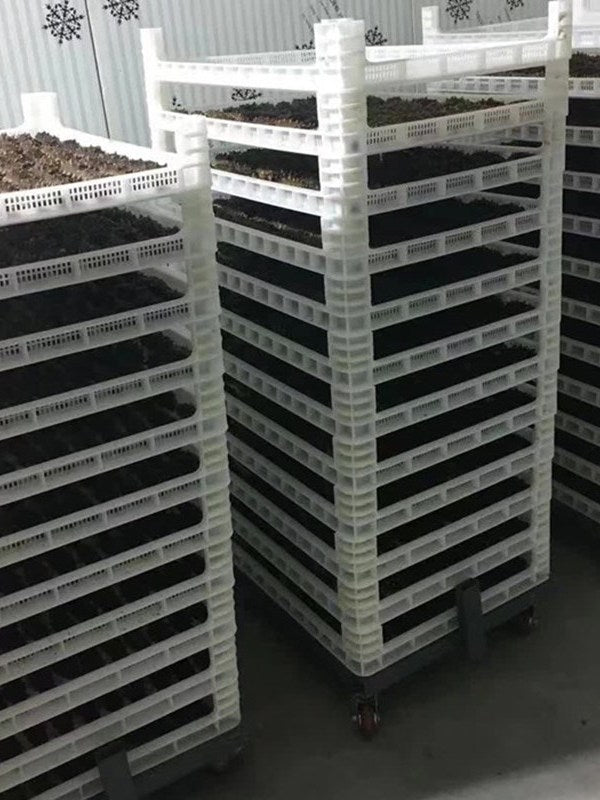 Qianlong 800 və 600 seriyalı qaldırılmış ayaqları plastik tək dondurucu çörək qabı mesh qabı ələk daşınan ayaqları daşınan bucaq