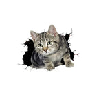 3D Kitten Avtomobil Etiketi Yaradıcı Fərdi və Sevimli Gülməli Pişik Bədənini örtən Arxa cızıqlar Gizli Stikerlər