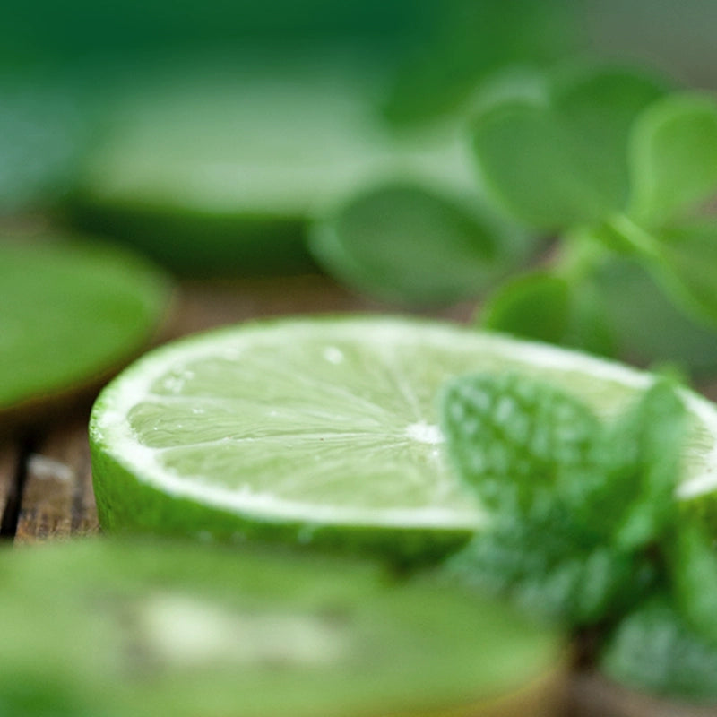 Xingrui L Ətir Doldurma Kartuşu Ji Ji 001 009 Ling 06 09 900 Galaxy Kricle Starlight 8 Jue Yue üçün uyğundur