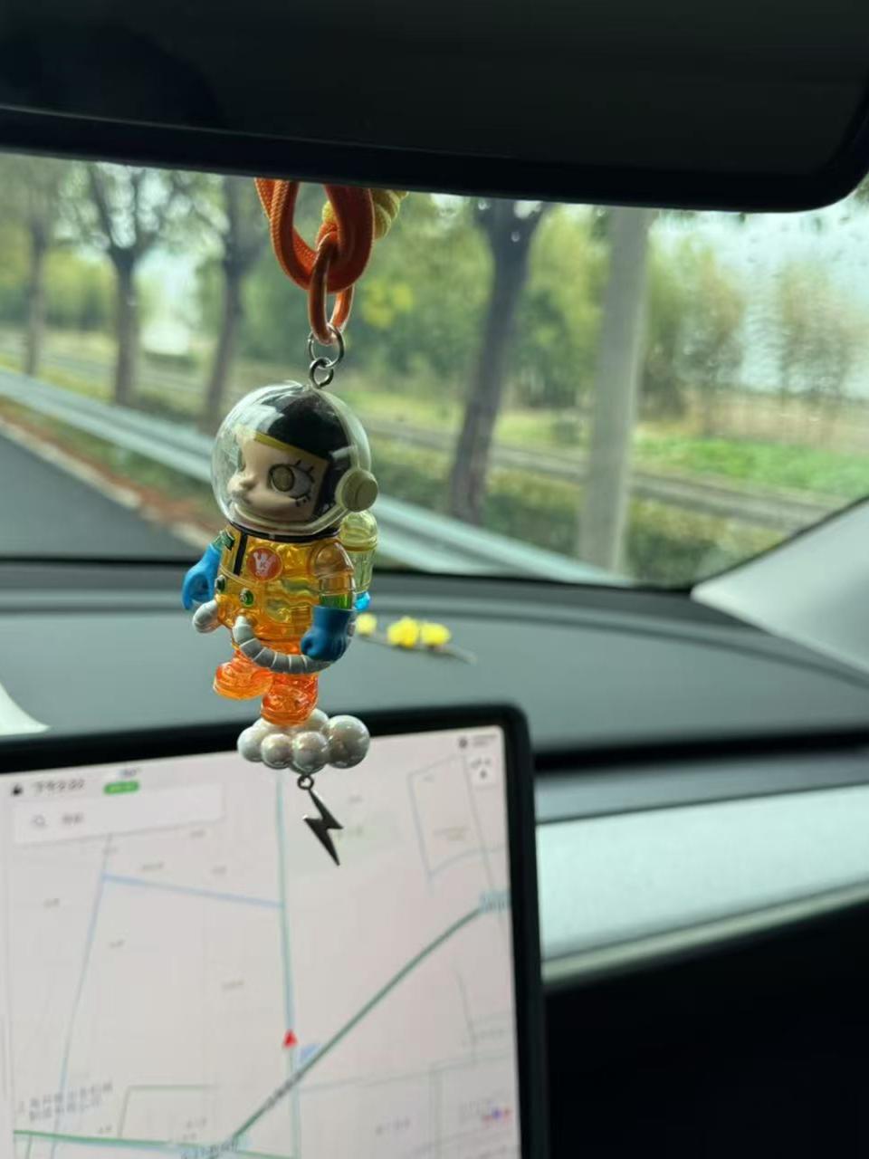 Avtomobil Asma Aksesuarları Pop Mart Arxa Görünüş Güzgüsü Peluş Kukla Düyünlü Toxunma Lanyard Telefon Anahtarlığı Lanyard