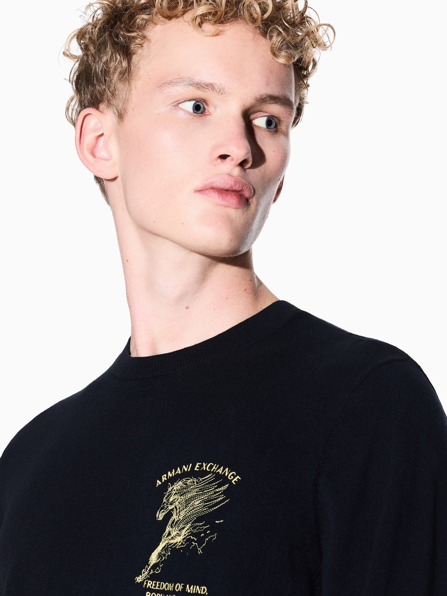 [New Year's gift] ARMANI EXCHANGE / Armani Spring New Year Limited Edition Pure Cotton Knitted Sweater for Men