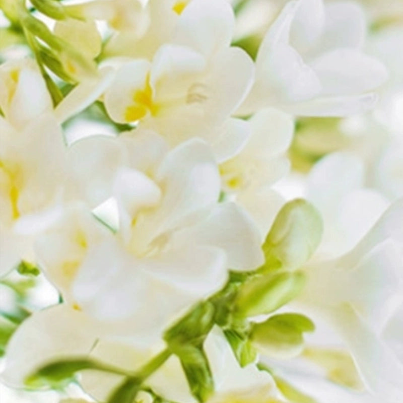 Xingrui L Ətir Doldurma Kartuşu Ji Ji 001 009 Ling 06 09 900 Galaxy Kricle Starlight 8 Jue Yue üçün uyğundur