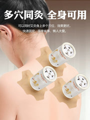 Moxibustion qutusu, portativ yakı məişət yeni texnikası, ildırımlı yanğın moxibustion moxa sütunu, tüstüsüz qutu, kiçik asılmış yakı borusu