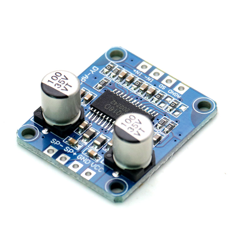10W/20W/30W yüksək güclü gücləndirici modul D Sinfi rəqəmsal gücləndirici lövhə 12V/24V enerji təchizatı DY-AP3001