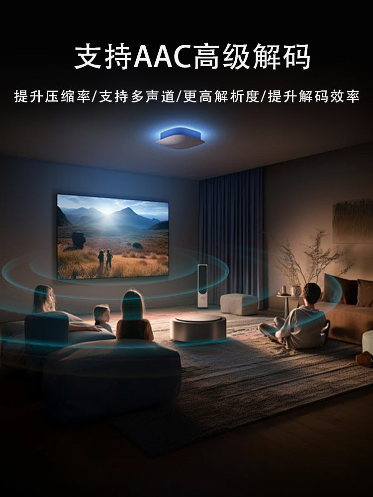 Dsp2.1 kanal Bluetooth gücləndirici lövhəsi yüksək güc itkisiz HIFI mikrofona qoşula bilər karaoke tənzimləməni dəstəkləyir