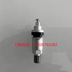 Buick Xinjun Weixin Junyue Yinglang Təkər Təzyiq Sensoruna Tətbiq Edilir Xüsusi Valve Təkər Klapanı Vakuum Başlığı