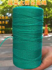 Kənd təsərrüfatı yaşlanma əleyhinə asma üzüm ipi asılan üzüm ipi istixana plastik ipi xiyar pomidoru bağlanmış üzüm tərəvəz asma ipi