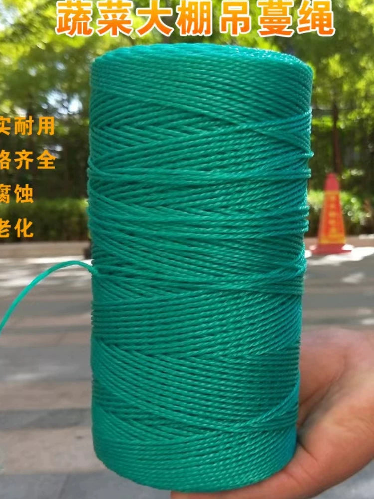 Kənd təsərrüfatı yaşlanma əleyhinə asma üzüm ipi asılan üzüm ipi istixana plastik ipi xiyar pomidoru bağlanmış üzüm tərəvəz asma ipi